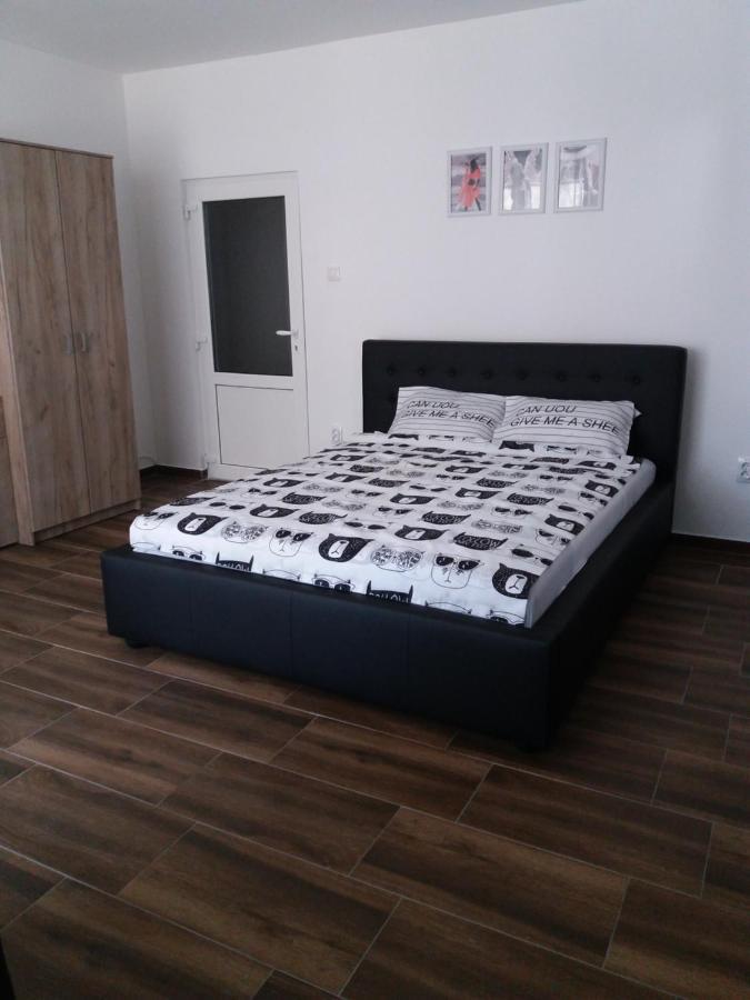 Stan Na Dan Dunja 2 Apartment Vrsac Exterior photo